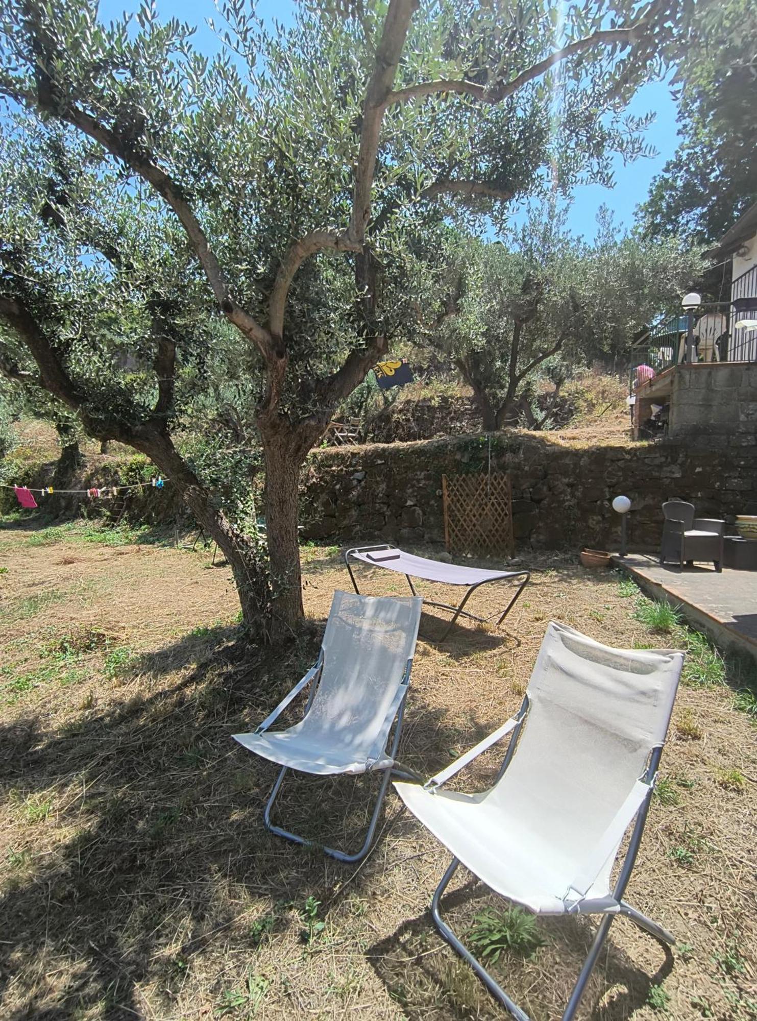 L'Antica Quercia B&B Castell'Umberto Exterior foto